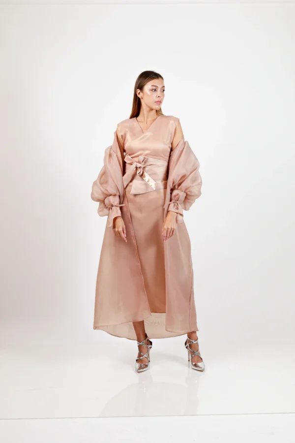 Beej Puffy Organza Dress