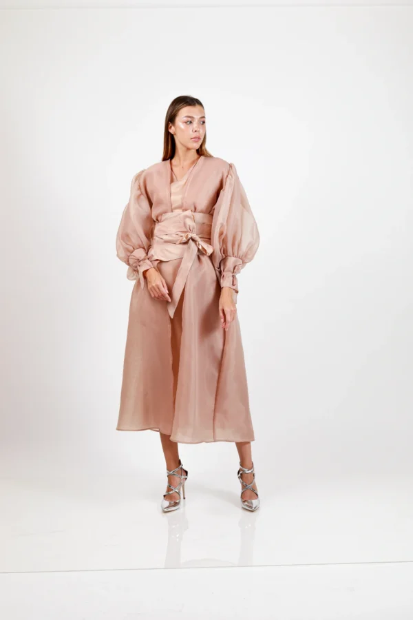 Beej Puffy Organza Dress