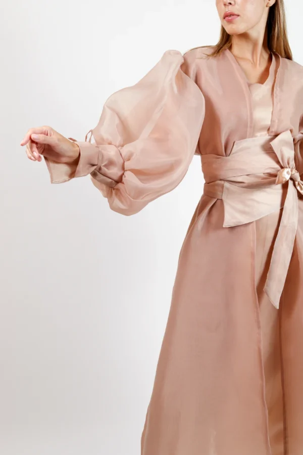 Beej Puffy Organza Dress